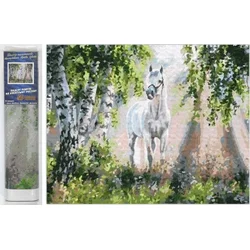 Norimpex Diamantna slika Beli konj 30x40cm