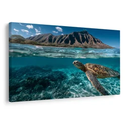 Slika morska želva v oceanu - 90x60