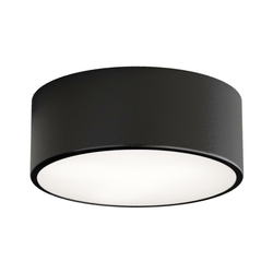 Plafonsko svetlo za kupatilo CLEO 1xE27/24W/230V, prečnik 20 cm, crno, IP54