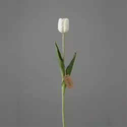 Umetni tulipan krem 50 cm Real touch