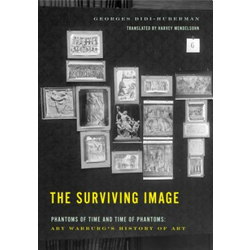 Surviving Image