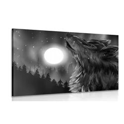 Slika volk v soju lune v črnobeli izvedbi - 150x100