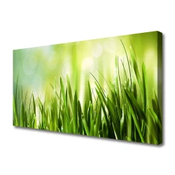 tulup.si Slika na platnu Trava narava 120x60 cm