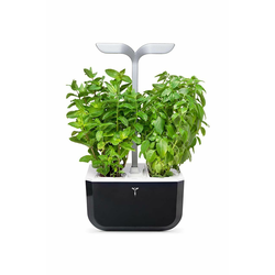 Avtonomni domači vrt Veritable Exky Smart 20 × 18 cm