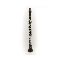 Klarinet Bb 17/6 Boehm 309Ripa – Ripamonti