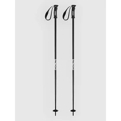 Faction Dancer 110 2023 Ski Poles black