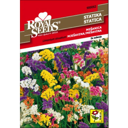SEME ROYAL SEEDS 62 Limonium, mešanica