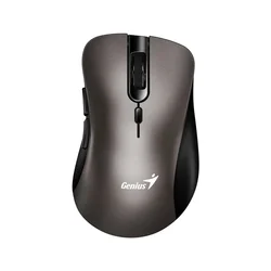 GENIUS Ergo 8100S Champagne titanium USB Bežični miš