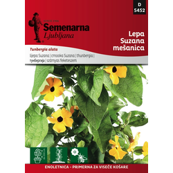 SEMENA CVETOČIH RASTLIN SEMENARNA THUNBERGIA ALATA MALA VREČICA 5452