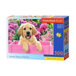 Castorland Puzzle 300 B-030071 Labradorski mladiček v roza škatli