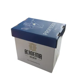 Academia brewery profesor pivo IPA, Kutija, 12 x 0.33l