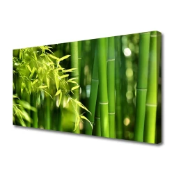 tulup.si Slika na platnu Bamboo listi rastlin 120x60 cm