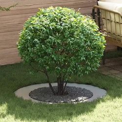 pogodno za ravne drvene prstenove 5 pcs Srebrno O60 / 90 cm