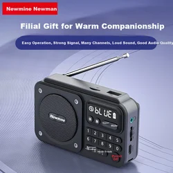 Newmine Bluetooth radio N123, Crni