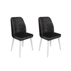 Hanah Home Set stolica Dallas-587 V2, 62x75x51.5 cm, 2 komada, Antracit