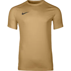 Nike Dres Dri-FIT Park VIII