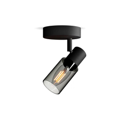 Philips - Reflektor PALMS 1xE14/25W/230V