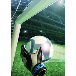 Final Soccer VR (PC) Steam Key EUROPE