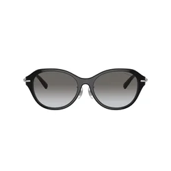 Tiffany Naočare za sunce TF 4210D 82853C