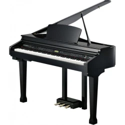 Kurzweil KAG100 Ebony Polish
