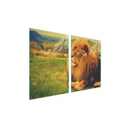 shumee Steklena zaščitna plošča za štedilnik 2x45x52 Lion