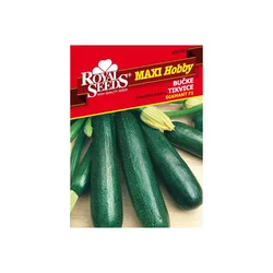 SEME ROYAL SEEDS 102 Bučka Diamant F1