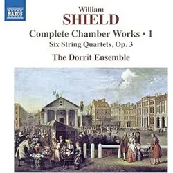 SHIELD:COMPLETE CHAMBER WORKS 1