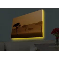 Wallity Slika sa LED osvetljenjem 4570HDACT-004, 45x70 cm