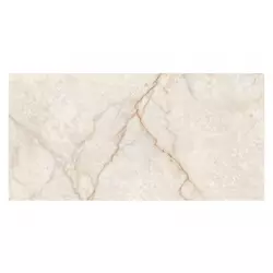 Champagne Glossy (3631) 30x60