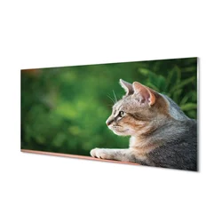 tulup.si Steklena slika Išče mačka 140x70 cm 2 obešalnika