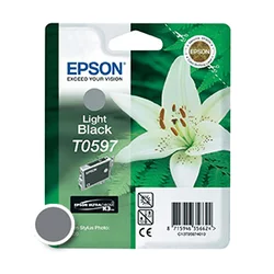 EPSON črnilo B-LIGHT STYLUS PH (C13T05974020)