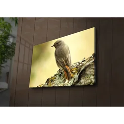 Wallity Slika sa LED osvetljenjem 4570IACT-65, 45x70 cm