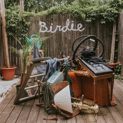Slaughter Beach, Dog - Birdie (Limited Edition) (Olive Green Coloured) (LP)