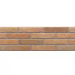 BALKANIA CERAMIC DOO Keramičke pločice Zidne ASCOT FUEGO 20x60