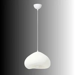 OPVIQ Luster Lora 40 Nua