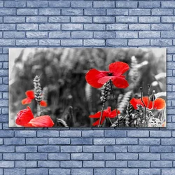 tulup.si Slika na platnu Mak na zidu 140x70 cm