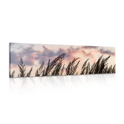 Slika klasje dolge trave - 120x40