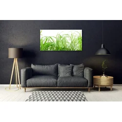 tulup.si Slika na steklu Grass nature rastlin 120x60 cm 2 obešalnika