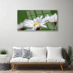tulup.si Steklena slika Daisy na wall 100x50 cm 4 obešalnika