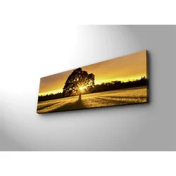 Wallity Slika prirode sa LED osvetljenjem 30x90 cm