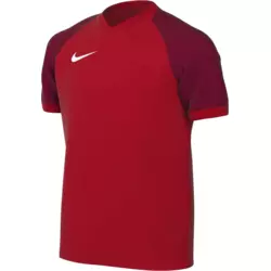 Nike Dres Dri-FIT Trophy VI Kids