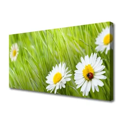 tulup.si Slika na platnu Grass daisies narava 120x60 cm