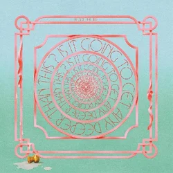 The Soft Pink Truth - Is It Going To Get Any Deeper Than This? (Limited Edition) (2 LP)