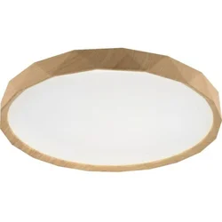 Mitea Lighting Plafonjera fi280mm 15W LED SMD CCT 3000~6500K M205514