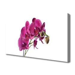 tulup.si Slika na platnu Orhideje narava 120x60 cm