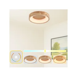 Brilagi-LED Plafonsko svetlo FALCON WOOD LED/30W/230V 3000/4000/6000K 45 cm drvo