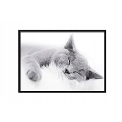 shumee SLIKA, PLAKAT V OKVIRJU 53x73 cm Kat. P502 horizontalna