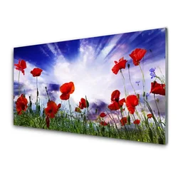tulup.si Slika na steklu Rastlinskih mak naravi 120x60 cm 2 obešalnika