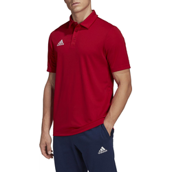 ADIDAS PERFORMANCE Funkcionalna majica ENT22, siva