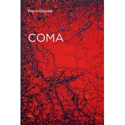 Pierre Guyotat - Coma
